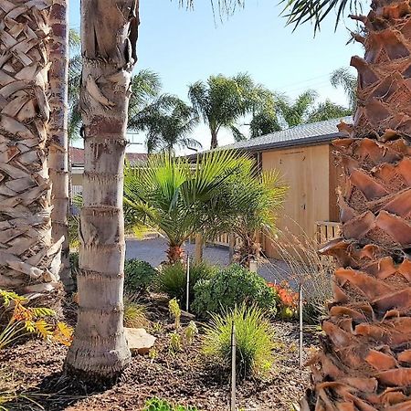 The Courtyard - Garden View Studio Port Pirie Zewnętrze zdjęcie